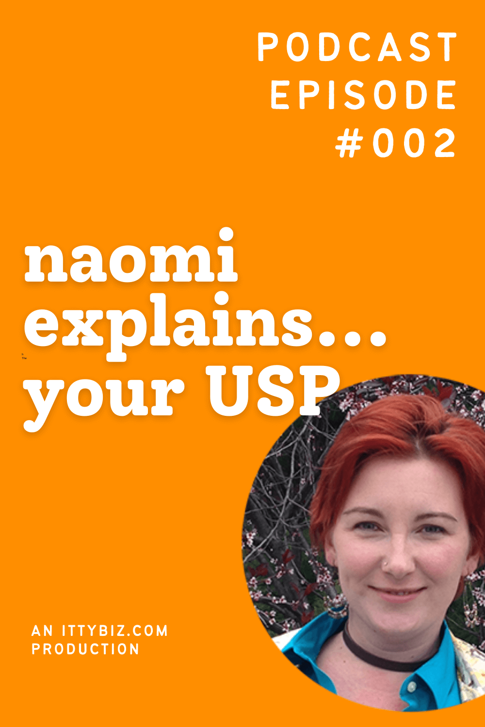 Naomi Explains... Your USP