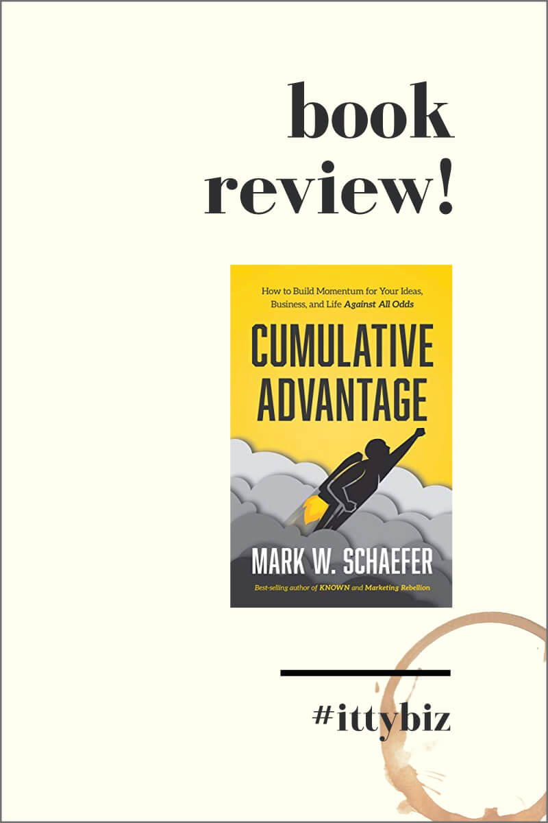 Cumulative Advantage by Mark Schaefer